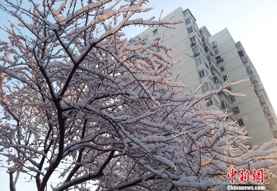 2013320r(nng)vĴ׃ıӭһѩѩ󵽱ѩӳ¸ǰһ(ji)g֮fXС z CFPҕXЇ
