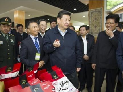 習(xí)近平:把新疆好資源特色資源開發(fā)出來(lái)
