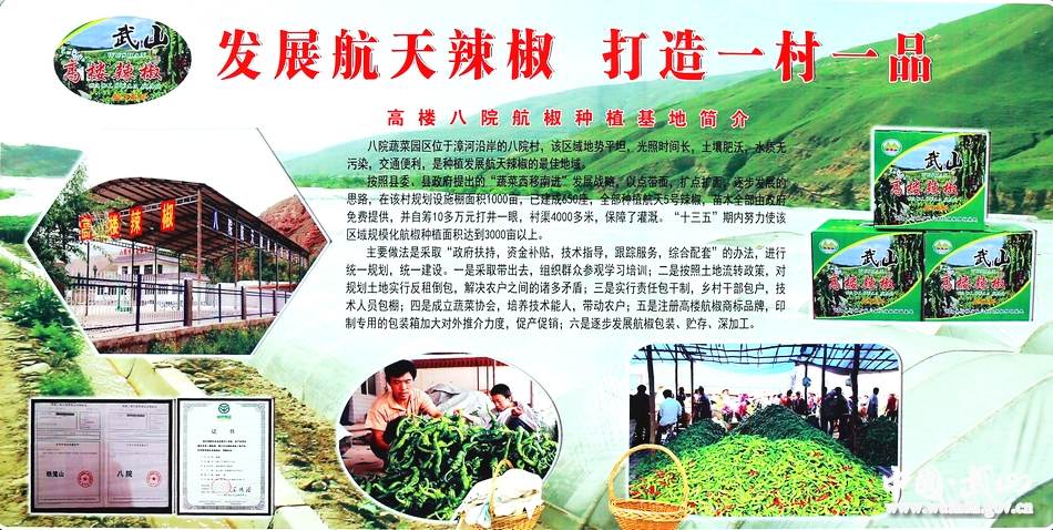 點擊查看大圖