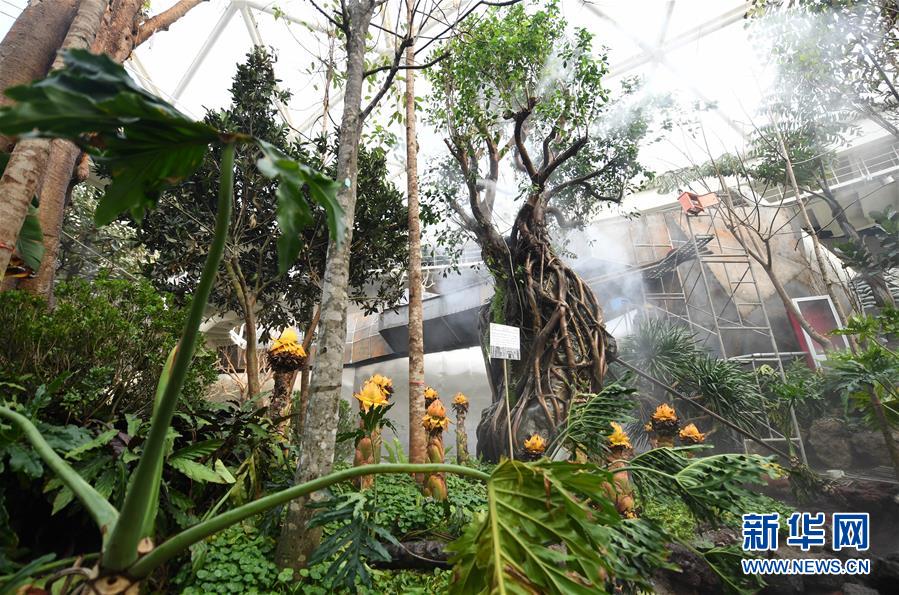 (新華全媒頭條·圖文互動(dòng))(7)共建人與自然和諧相處的美麗家園——寫在北京世園會(huì)開幕倒計(jì)時(shí)百日之際