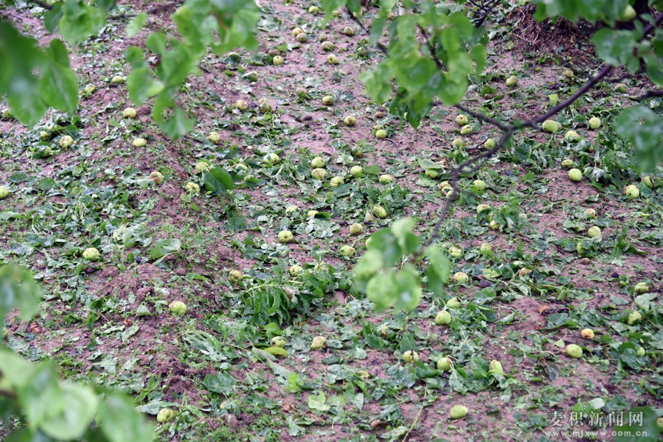 DSC_9374.JPG
